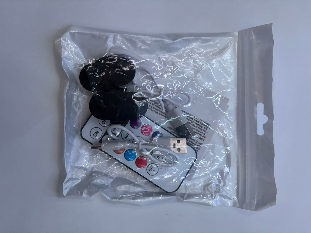 Rock Light/Led Light